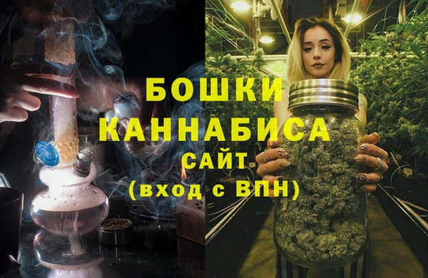 трава Арсеньев