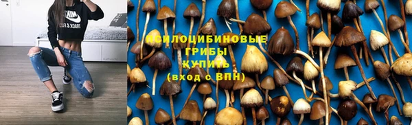 трава Арсеньев