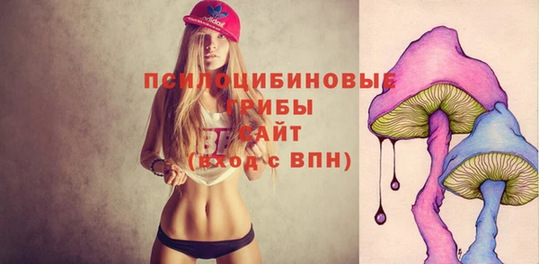 трава Арсеньев