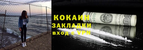 трава Арсеньев